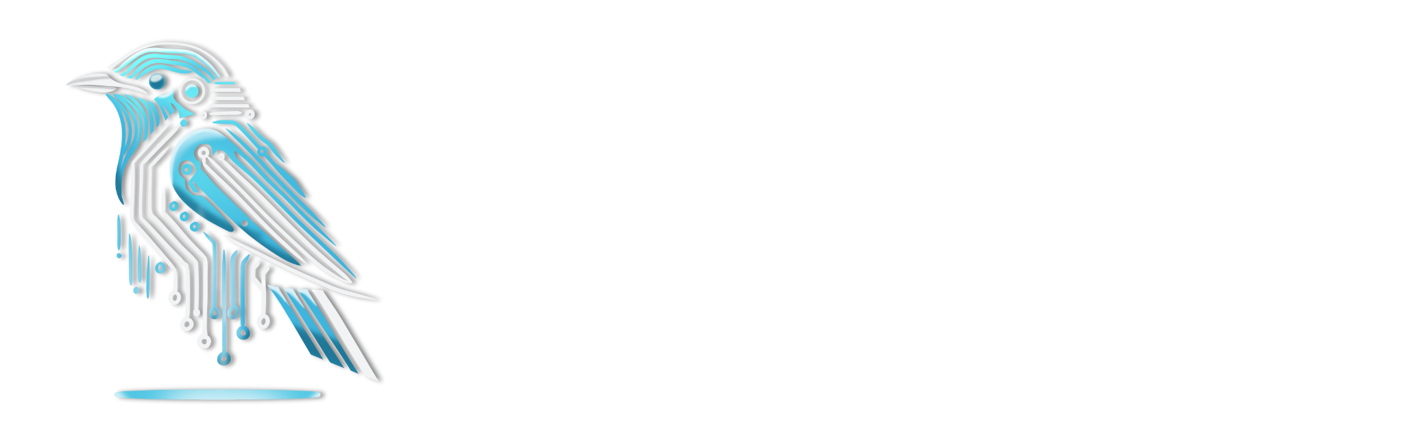 Nightingale Tech Solutions wordmark and logo